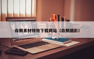 石河子白鹅素材特效下载网站（白鹅摄影）